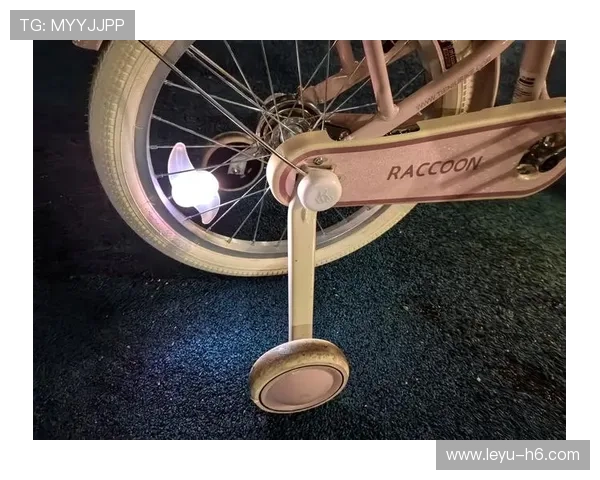 _夜光自行车节：在灯火中穿越城市脉络_，自行车灯夜骑