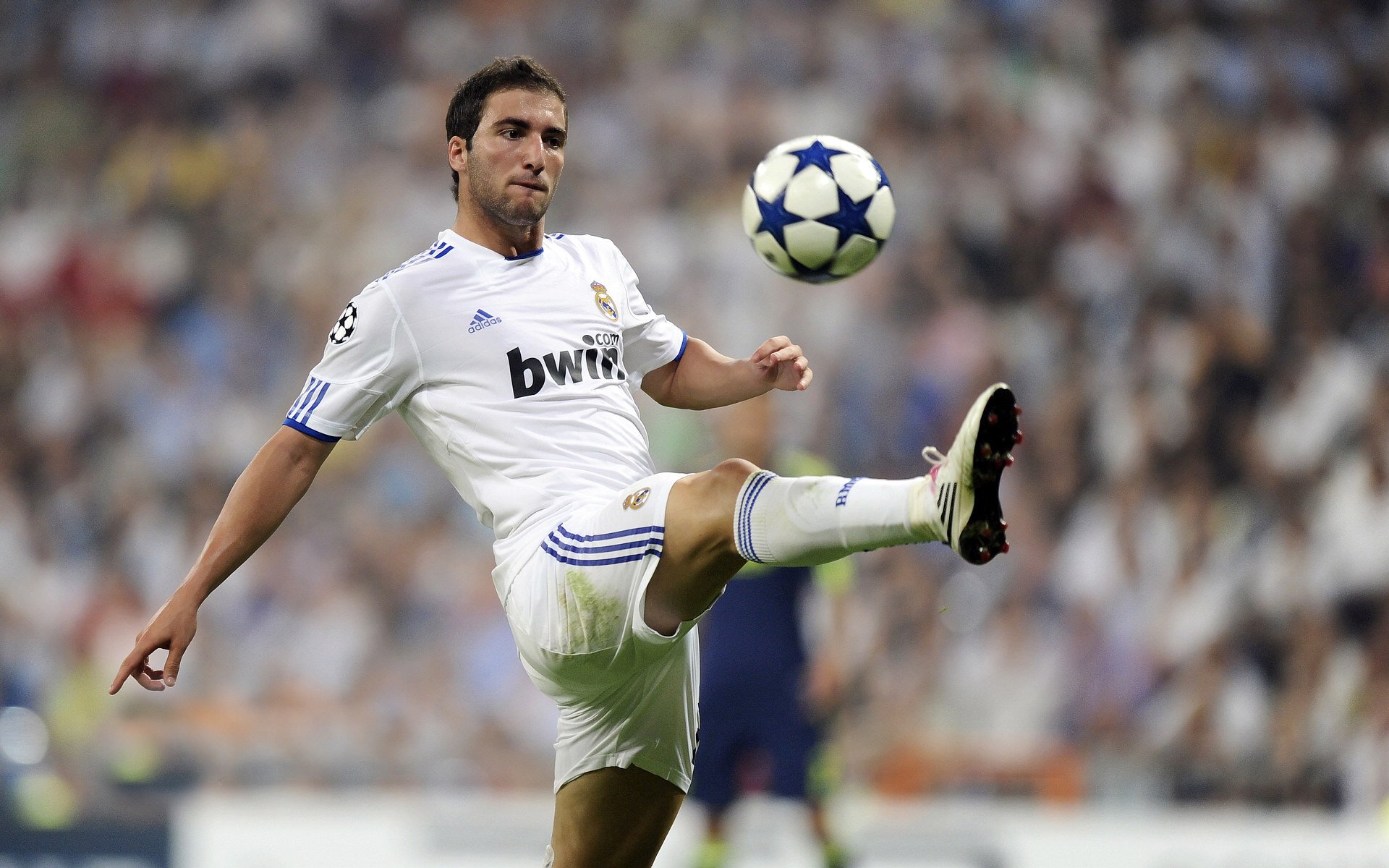 威尔士女子橄榄球队的年轻才俊令人期待，女橄榄球队员