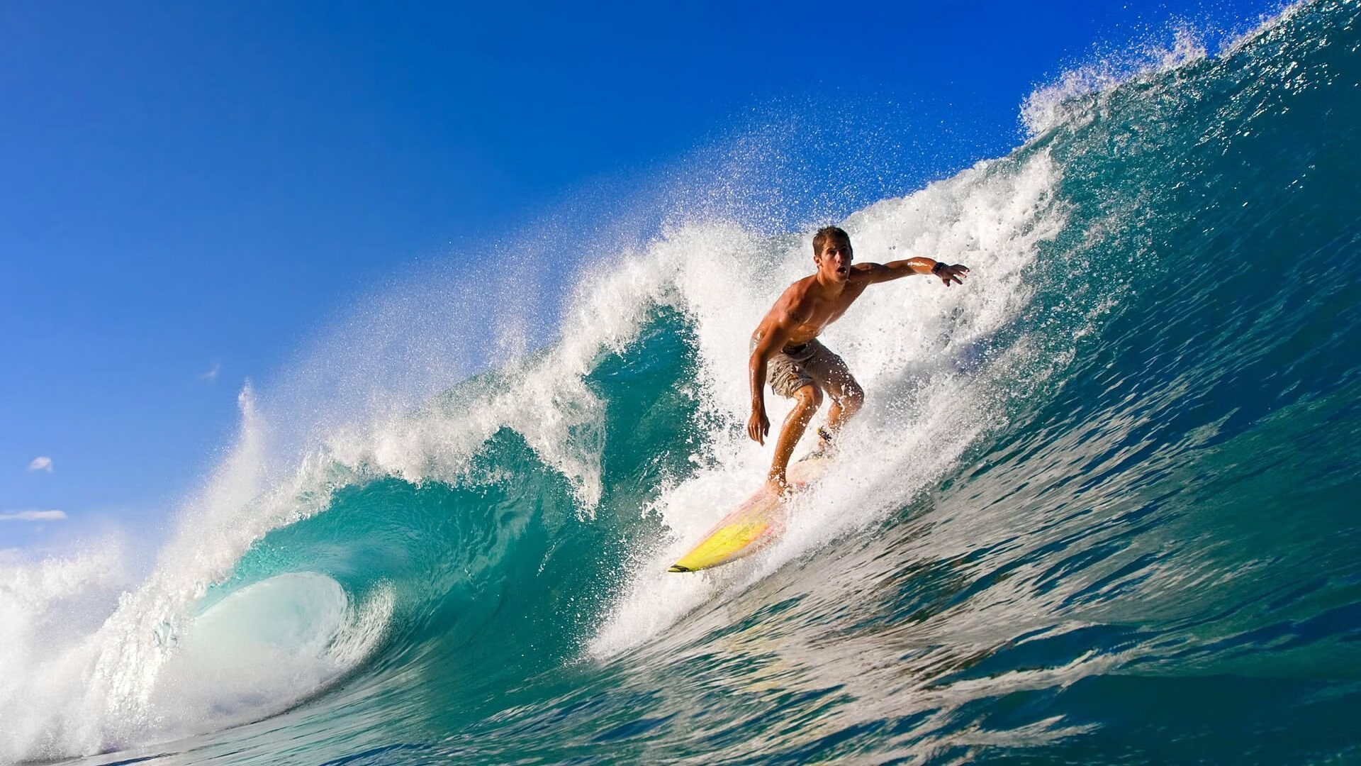 特斯·冯·迪克：灵活的中场运作，南非队进攻节奏不断加快，冯 斯特拉克